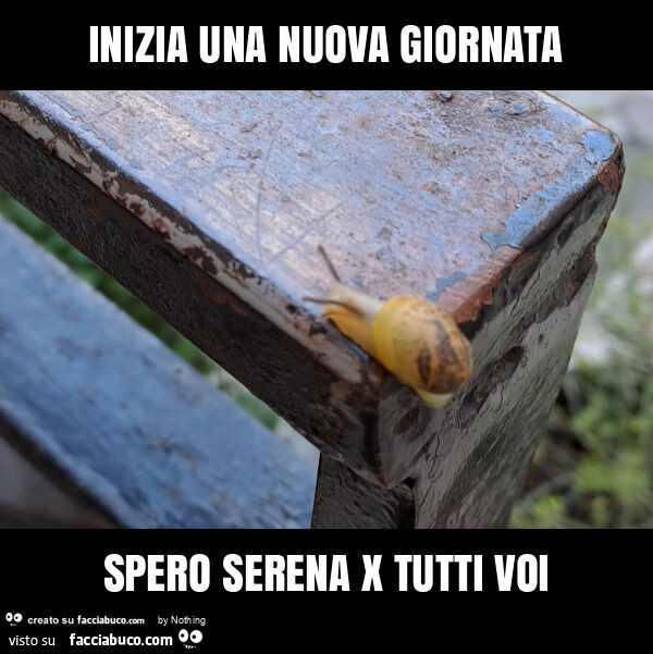 Inizia una nuova giornata spero serena x tutti voi