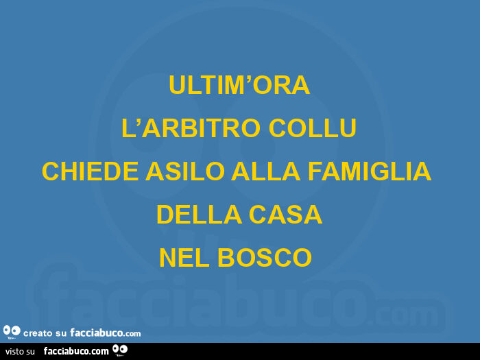 Ultim'ora l'arbitro collu chiede asilo alla famiglia della casa nel bosco 