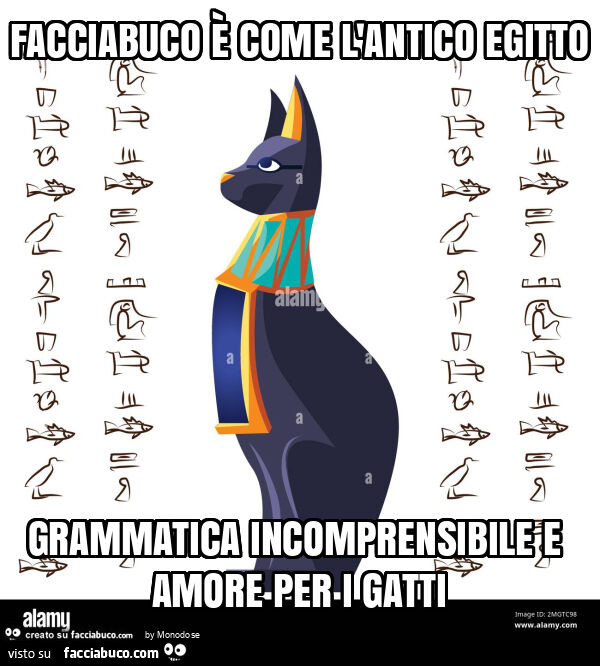 Facciabuco è come l'antico egitto grammatica incomprensibile e amore per i gatti