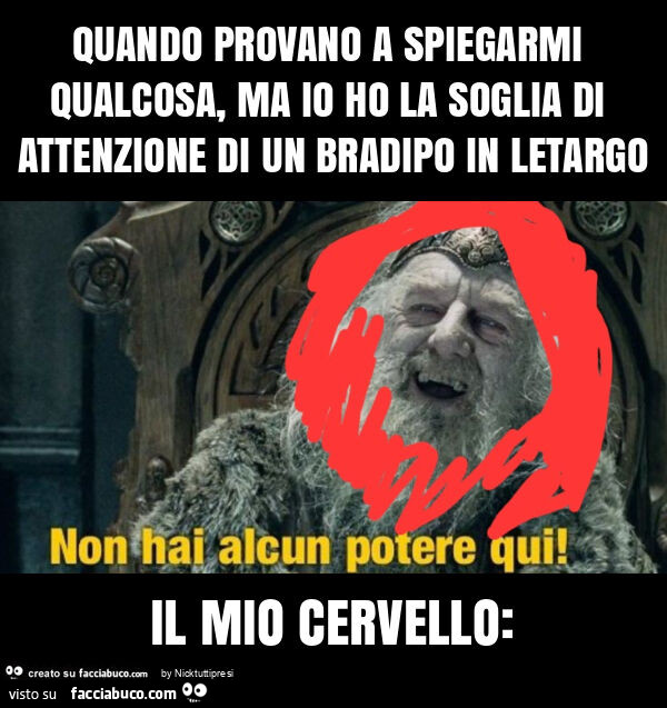 Quando provano a spiegarmi qualcosa, ma io ho la soglia di attenzione di un bradipo in letargo il mio cervello