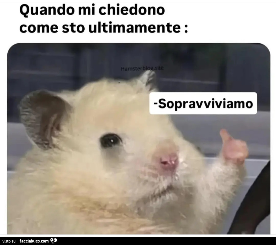 Quando mi chiedono come sto ultimamente sopravviviamo