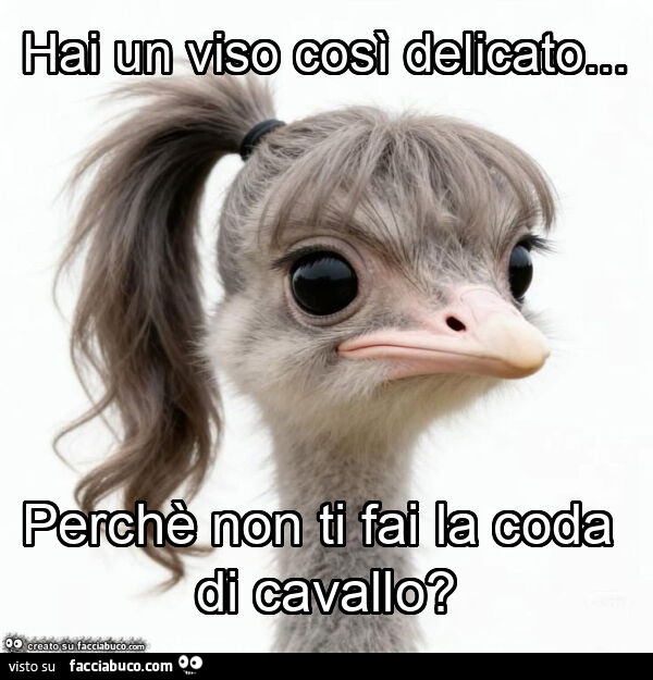 Hai un viso così delicato&hellip; perchè non ti fai la coda di cavallo?