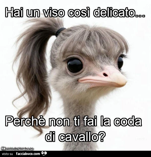 Hai un viso così delicato&hellip; perchè non ti fai la coda di cavallo?