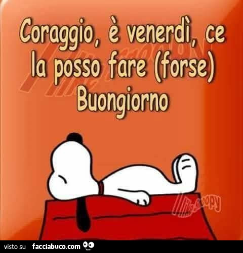Coraggio, è venerdì, ce la posso fare forse buongiorno