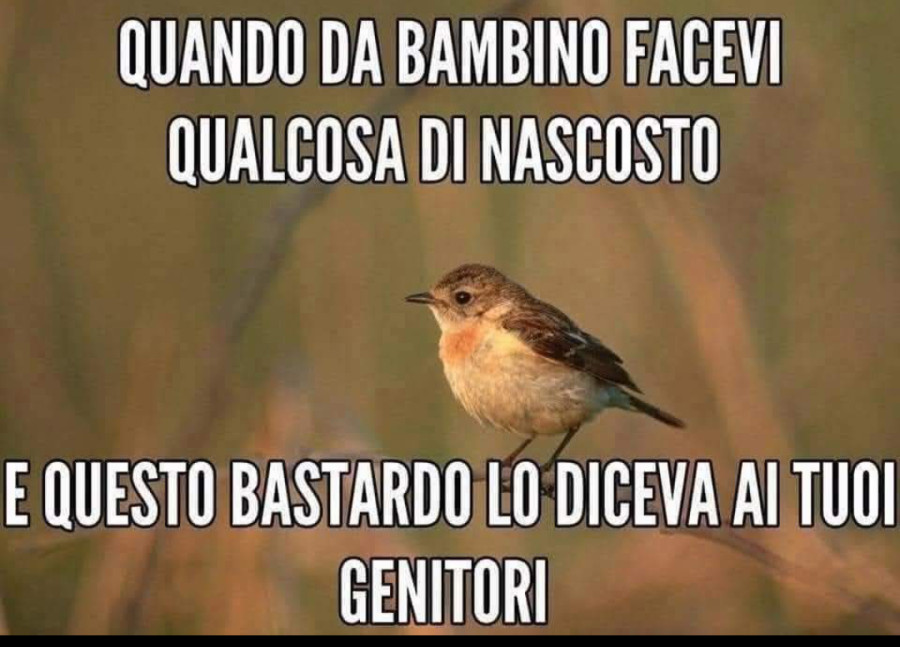 Spionaggio