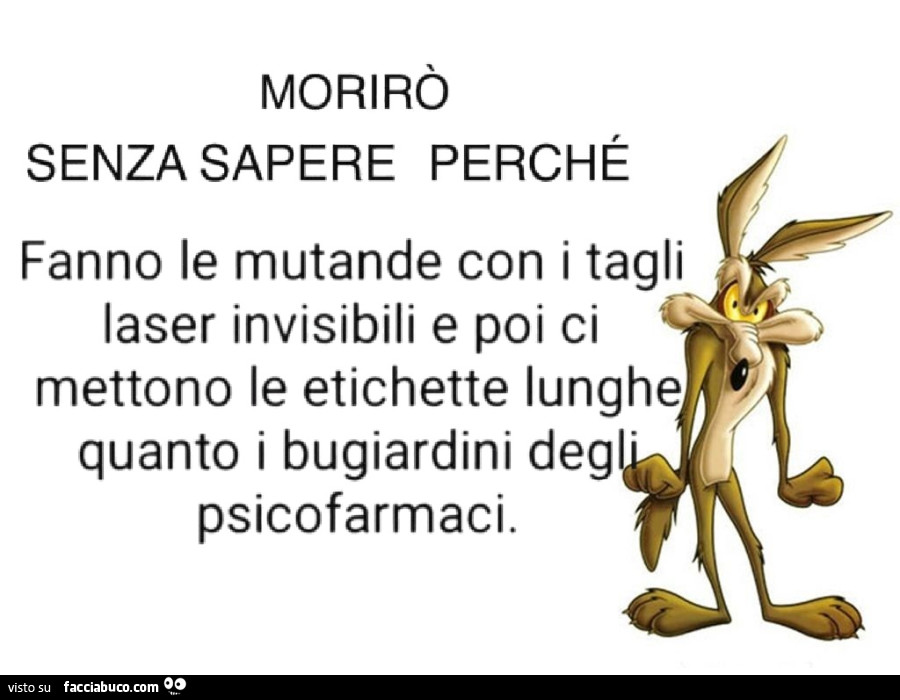Morirò senza sapere perché fanno le mutande con i tagli laser invisibili e poi ci mettono le etichette lunghe quanto i bugiardini degli psicofarmaci