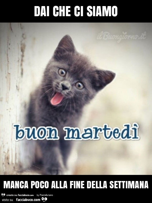 Dai che ci siamo manca poco alla fine della settimana