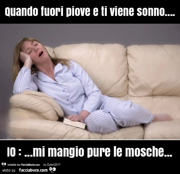 Quando fuori piove e ti viene sonno&hellip; io: &hellip; mi mangio pure le mosche
