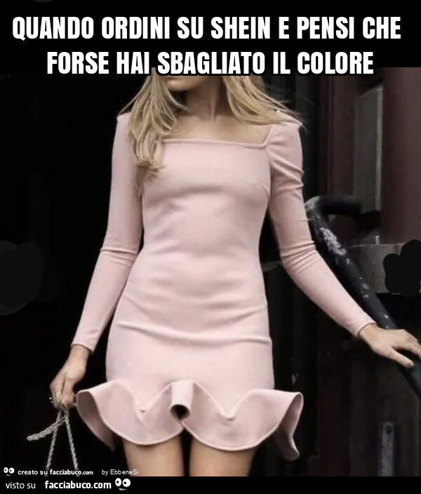Quando ordini su shein e pensi che forse hai sbagliato il colore