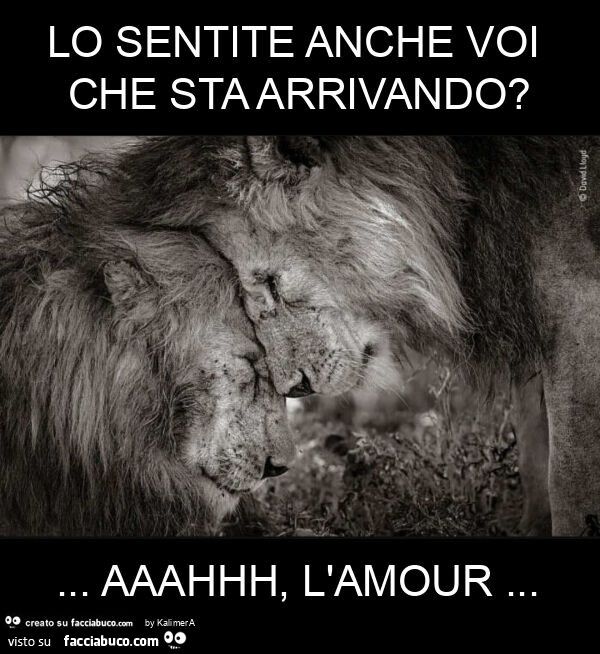 Lo sentite anche voi che sta arrivando? &hellip; Aaahhh, l'amour