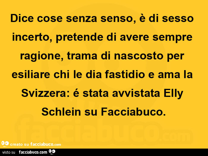 Dice cose senza senso, è di sesso incerto, pretende di avere sempre ragione, trama di nascosto per esiliare chi le dia fastidio e ama la svizzera: é stata avvistata elly schlein su facciabuco