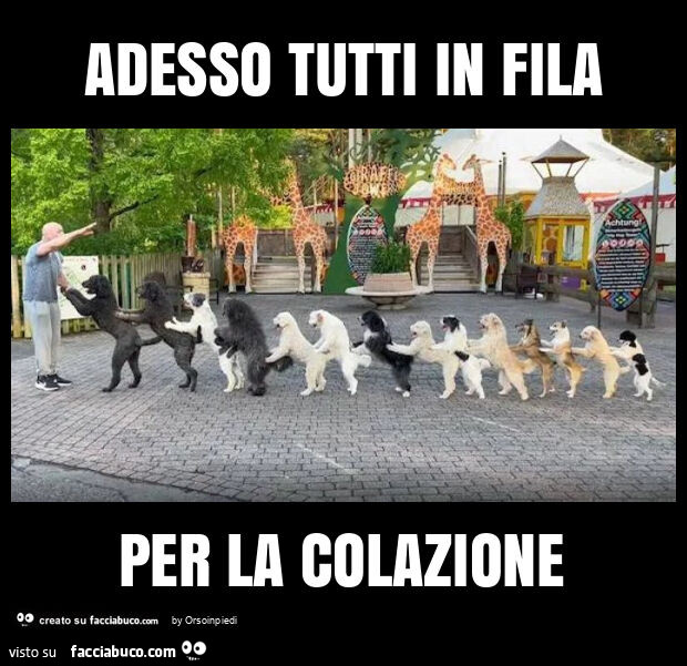 Adesso tutti in fila per la colazione