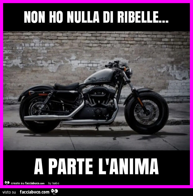 Non ho nulla di ribelle… a parte l'anima