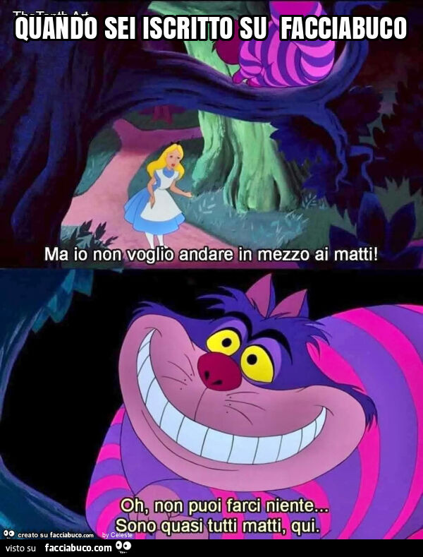 Quando sei iscritto su facciabuco