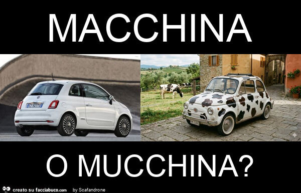 Macchina o mucchina?