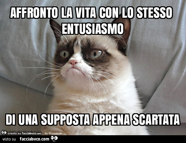 Affronto la vita con lo stesso entusiasmo di una supposta appena scartata