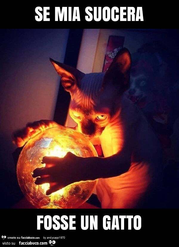 Se mia suocera fosse un gatto