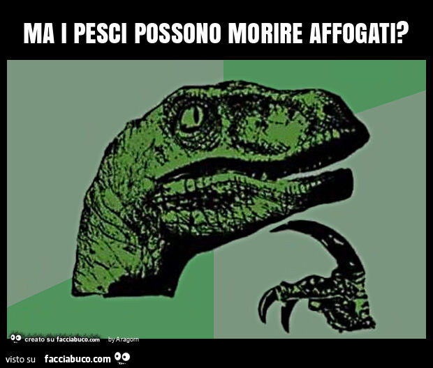 Ma i pesci possono morire affogati?