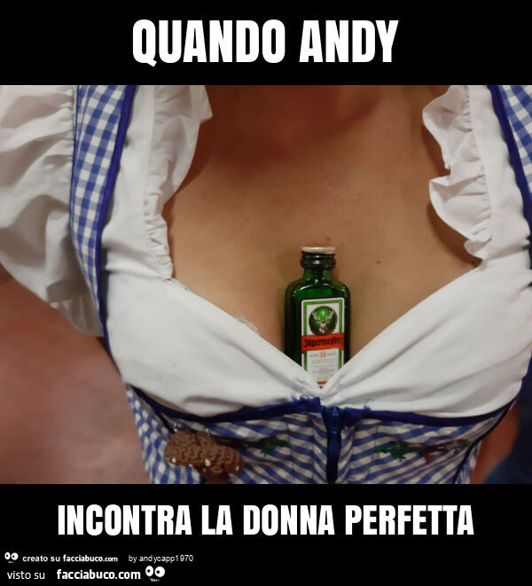 Quando andy incontra la donna perfetta