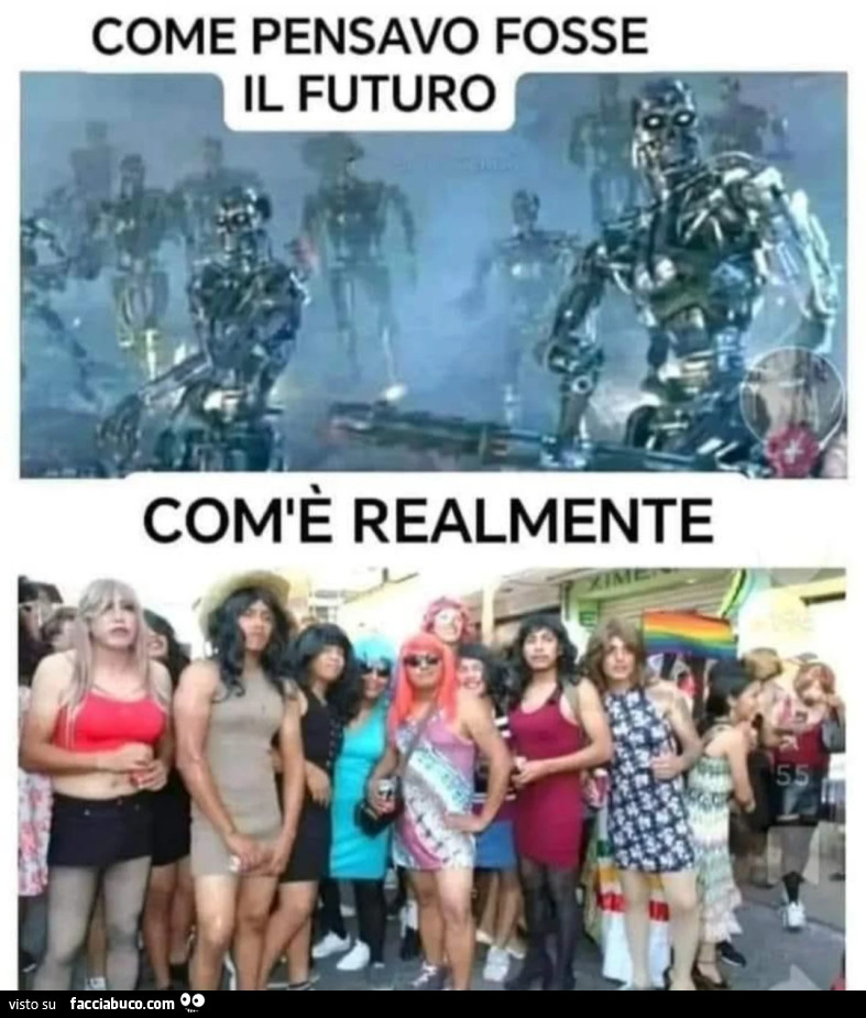 Vaccata