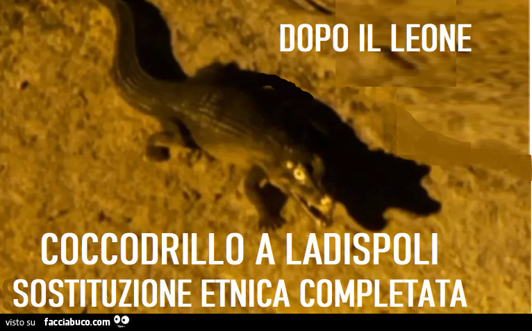 Dopo il leone coccodrillo a ladispoli. Sostituzione etnica completata