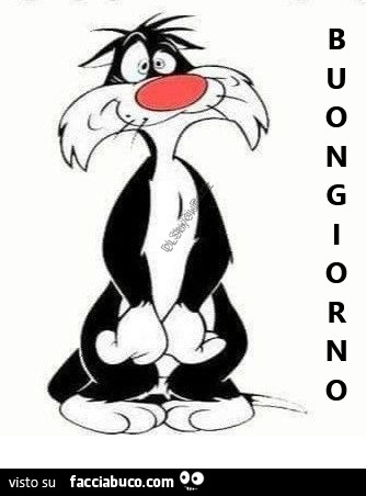 Gatto Silvestro: buongiorno
