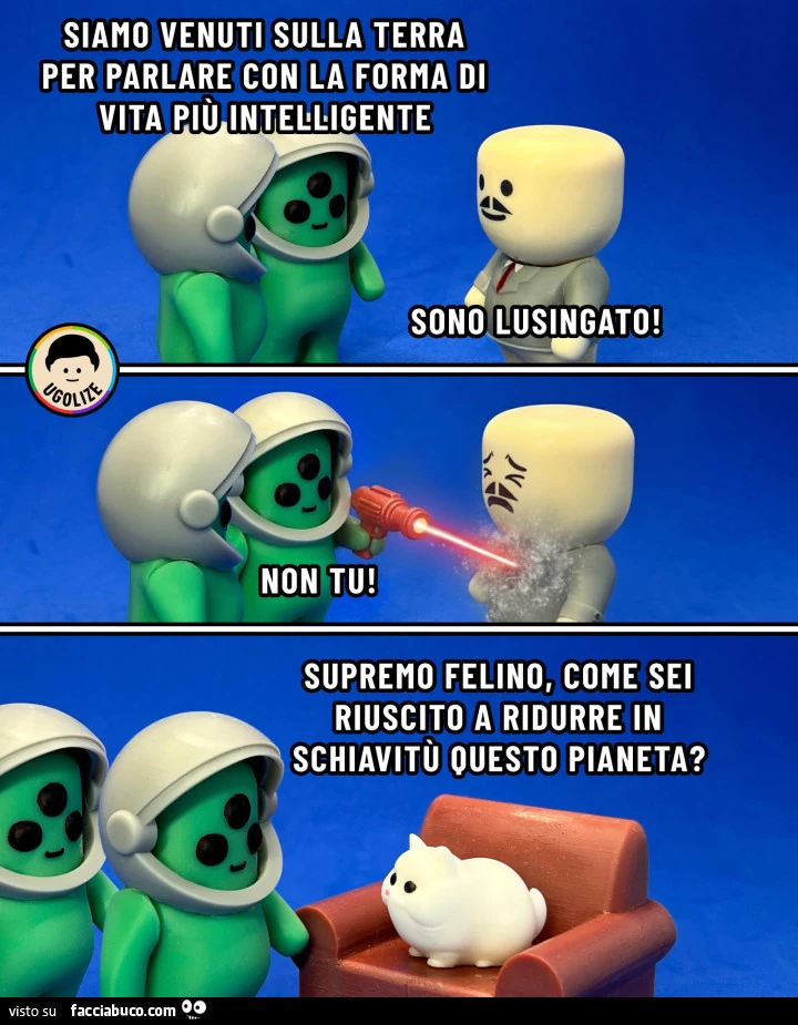 Vaccata
