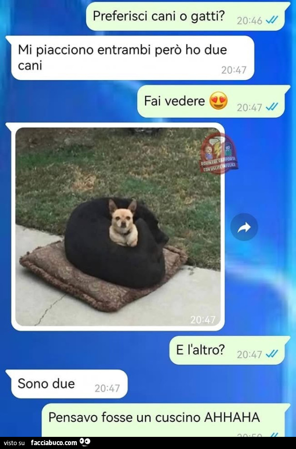 Vaccata