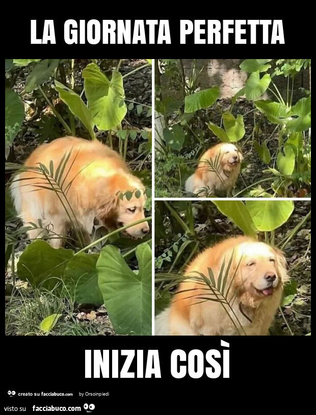 La giornata perfetta inizia così
