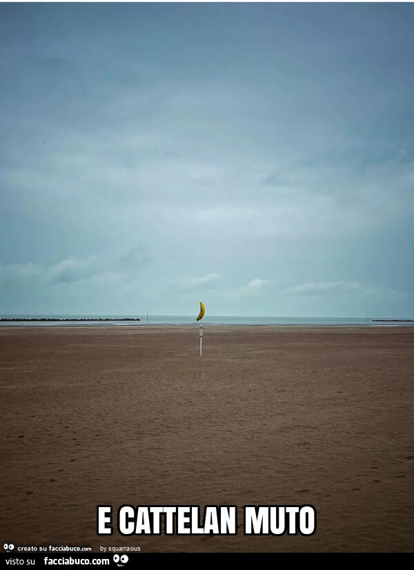 E cattelan muto