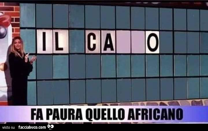 Vaccata
