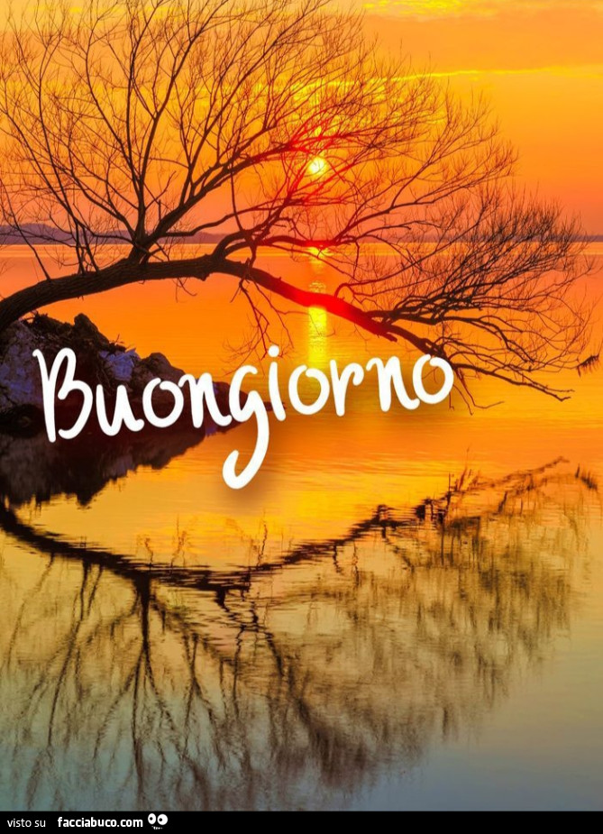 Albero che si riflette in acqua. Buongiorno