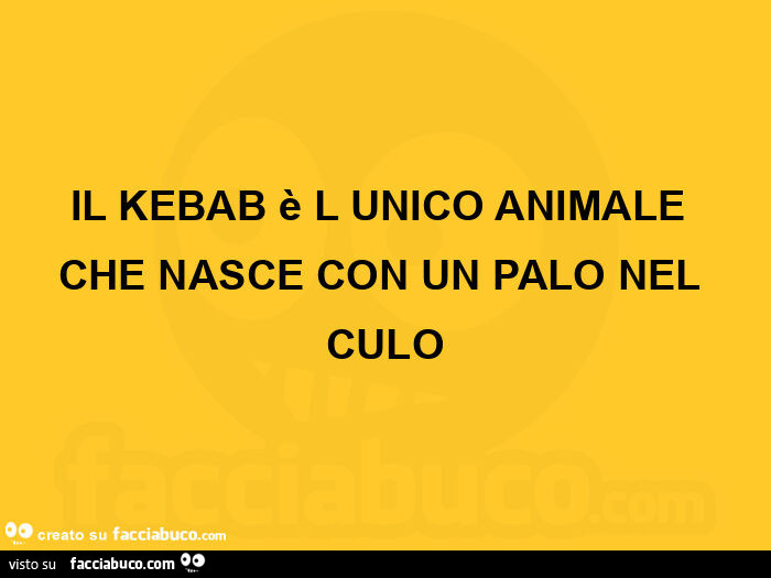 Il kebab è l unico animale che nasce con un palo nel culo