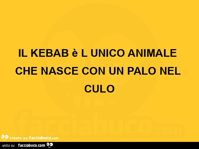 Il kebab è l unico animale che nasce con un palo nel culo