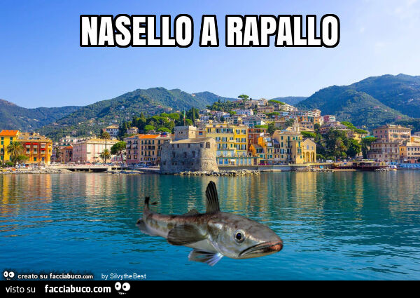 Nasello a rapallo