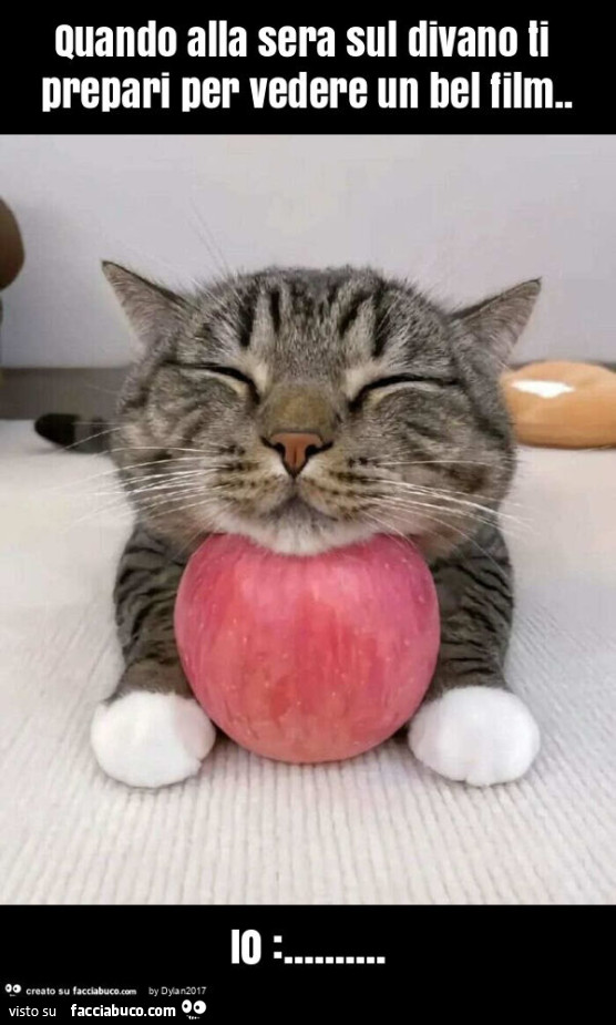 Quando alla sera sul divano ti prepari per vedere un bel film. Io