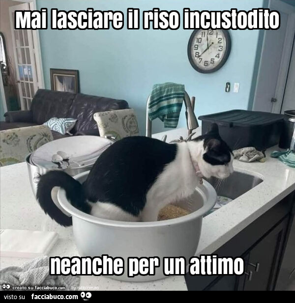 Mai lasciare il riso incustodito neanche per un attimo