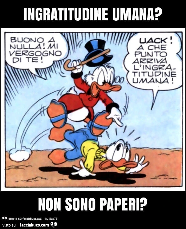 Ingratitudine umana? Non sono paperi?