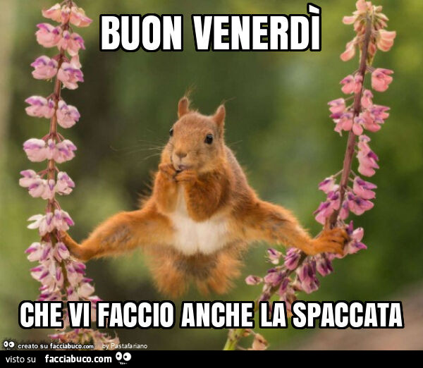 Buon venerdì che vi faccio anche la spaccata