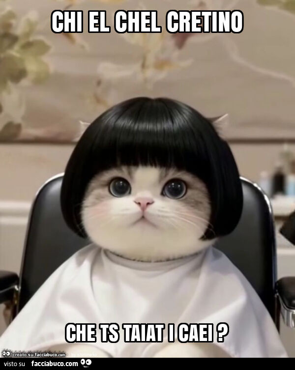 Chi el chel cretino che ts taiat i caei?