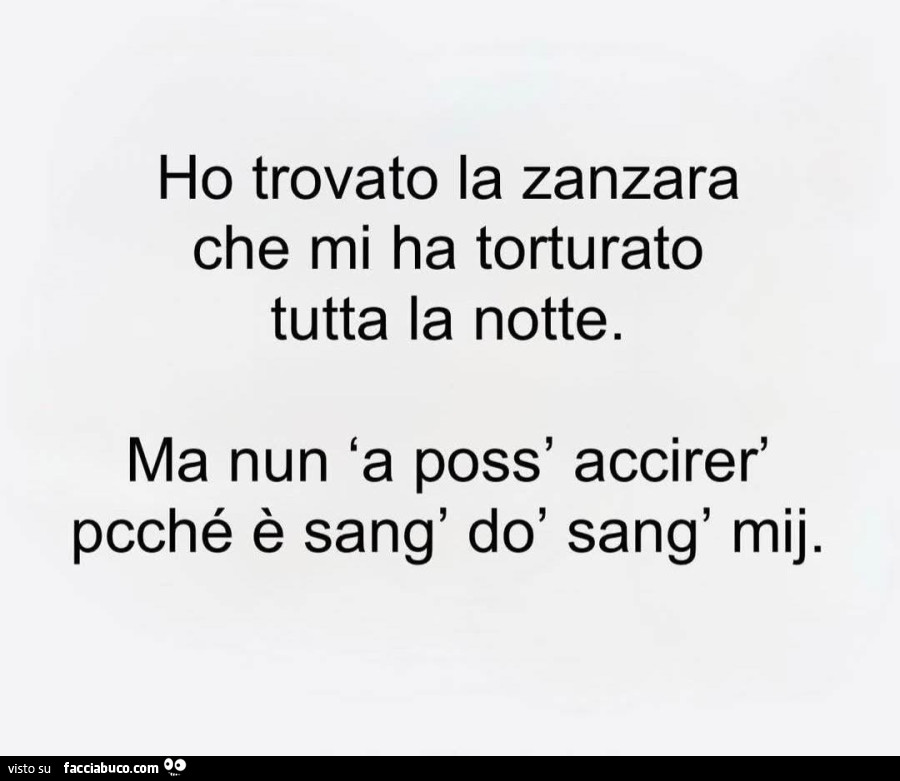 Ho trovato la zanzara che mi ha torturato tutta la notte. Ma nun 'a poss' accirer' pcché è sang' dò sang' mij