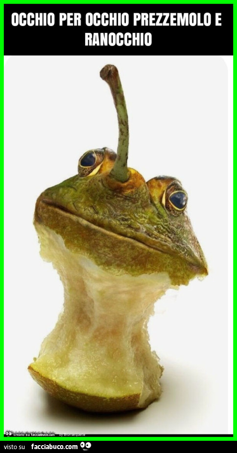 Occhio per occhio prezzemolo e ranocchio