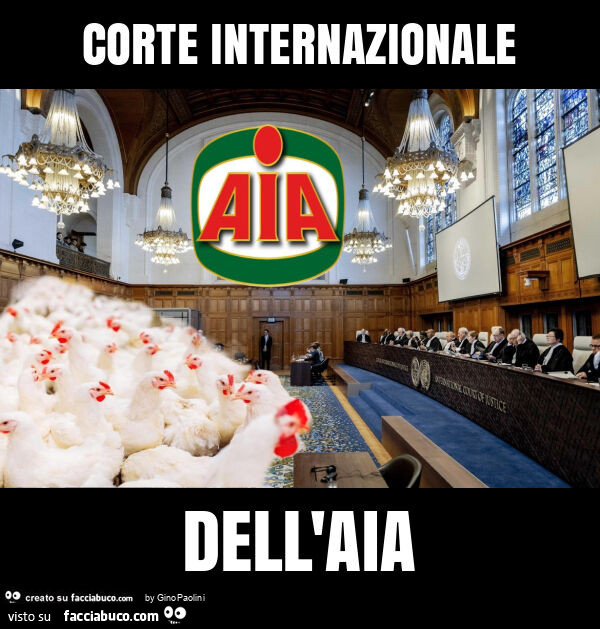 Corte internazionale dell'aia