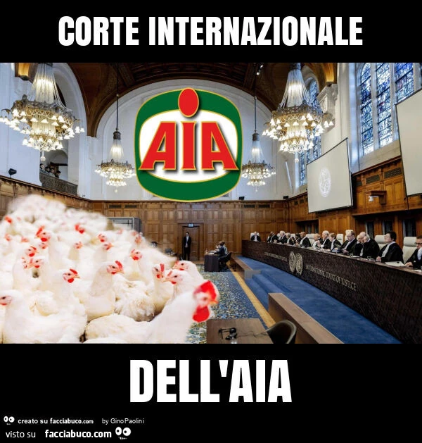 Corte internazionale dell'aia