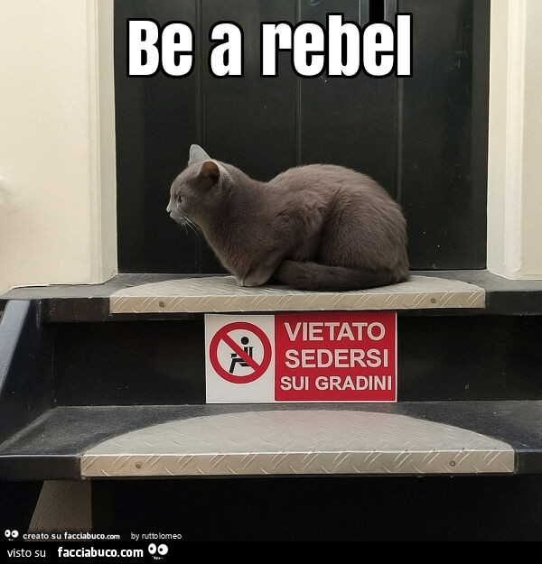 Be a rebel