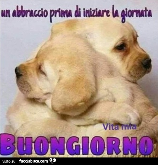 Cucciolotti che si abbracciano