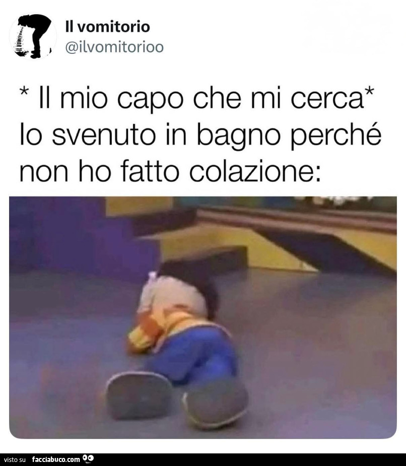 Vaccata