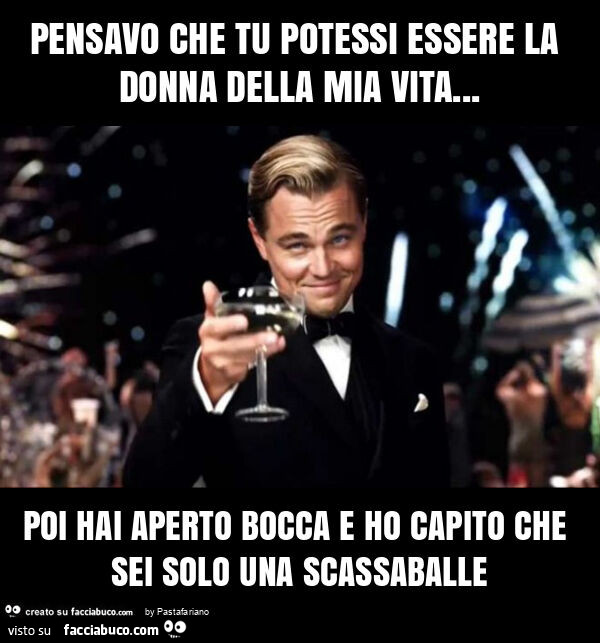 Pensavo che tu potessi essere la donna della mia vita&hellip; poi hai aperto bocca e ho capito che sei solo una scassaballe