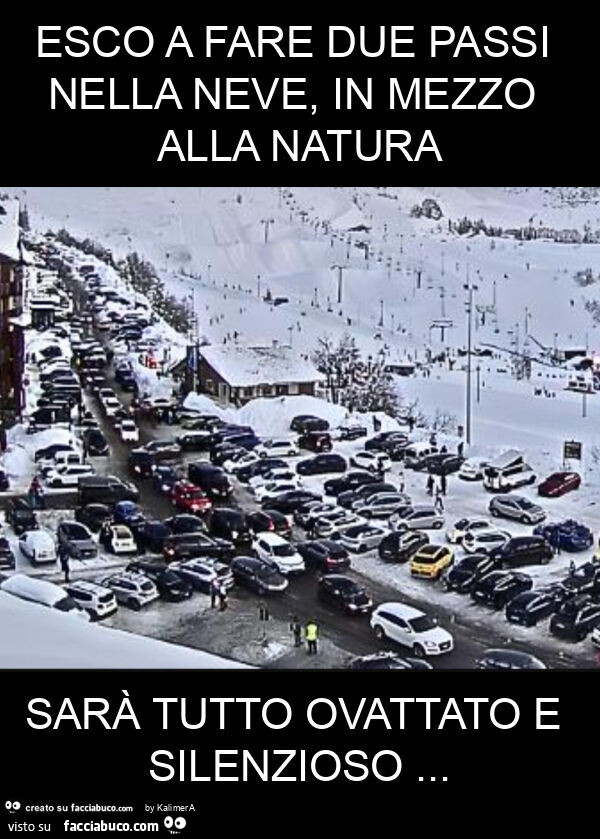 Esco a fare due passi nella neve, in mezzo alla natura sarà tutto ovattato e silenzioso