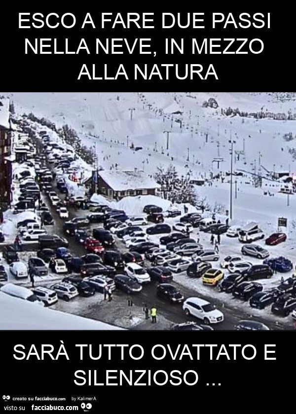 Esco a fare due passi nella neve, in mezzo alla natura sarร tutto ovattato e silenzioso